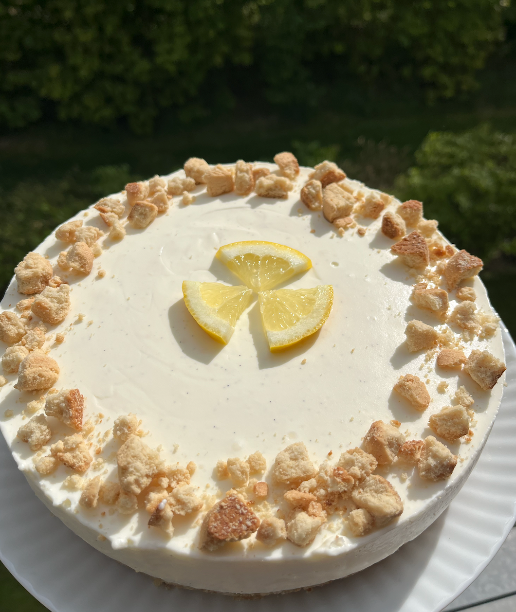 Koldskål cheesecake